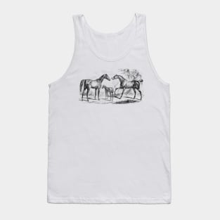 Horse Family Black & White Vintage Illustration Tank Top